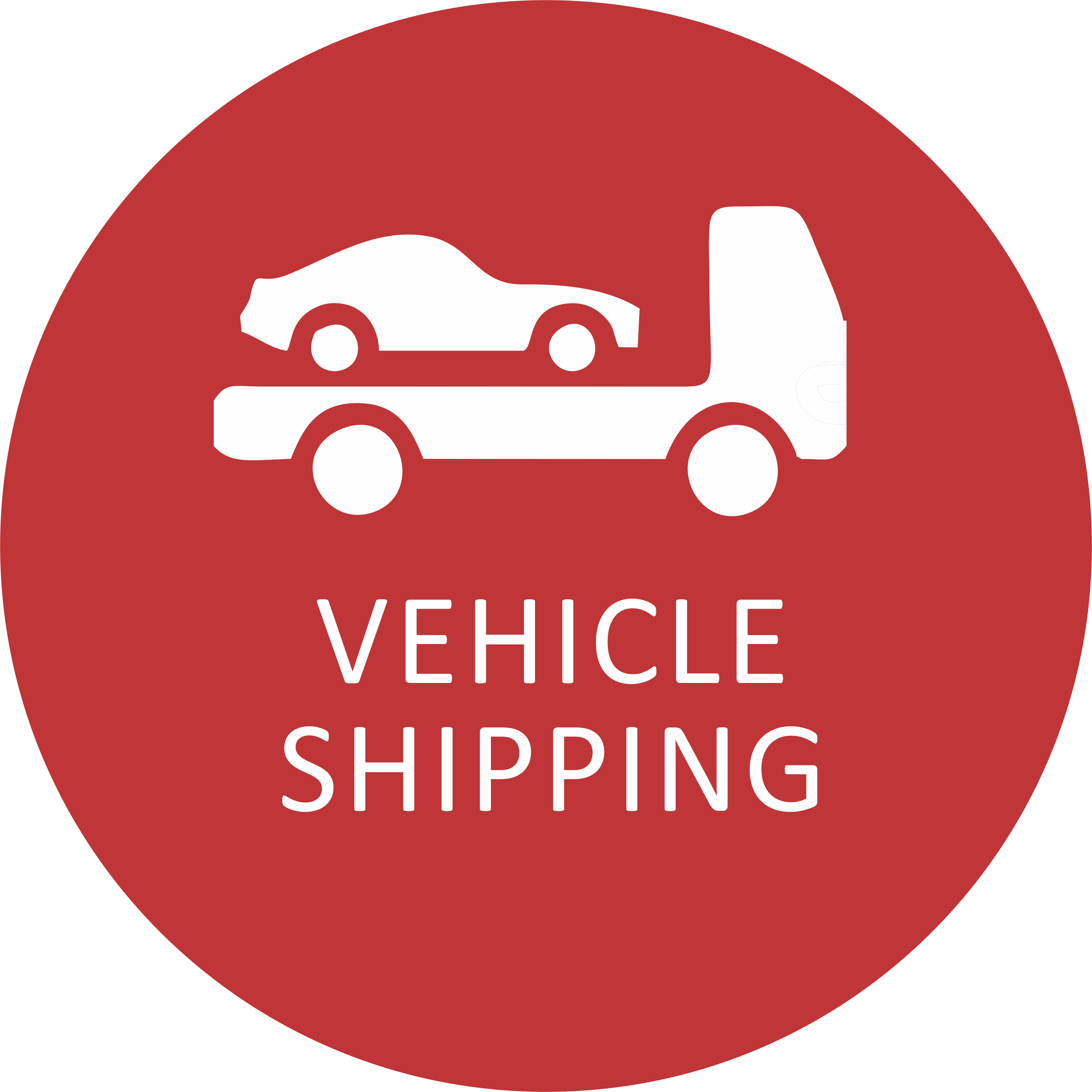 Vehicle Shipping